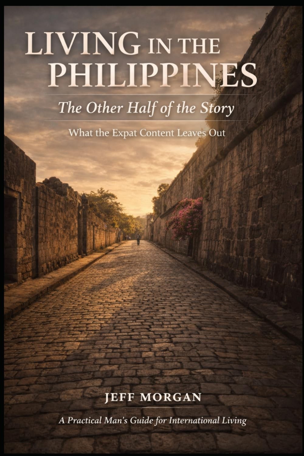 Living in the Philippines The Other Half of the Story What the Expat Content …