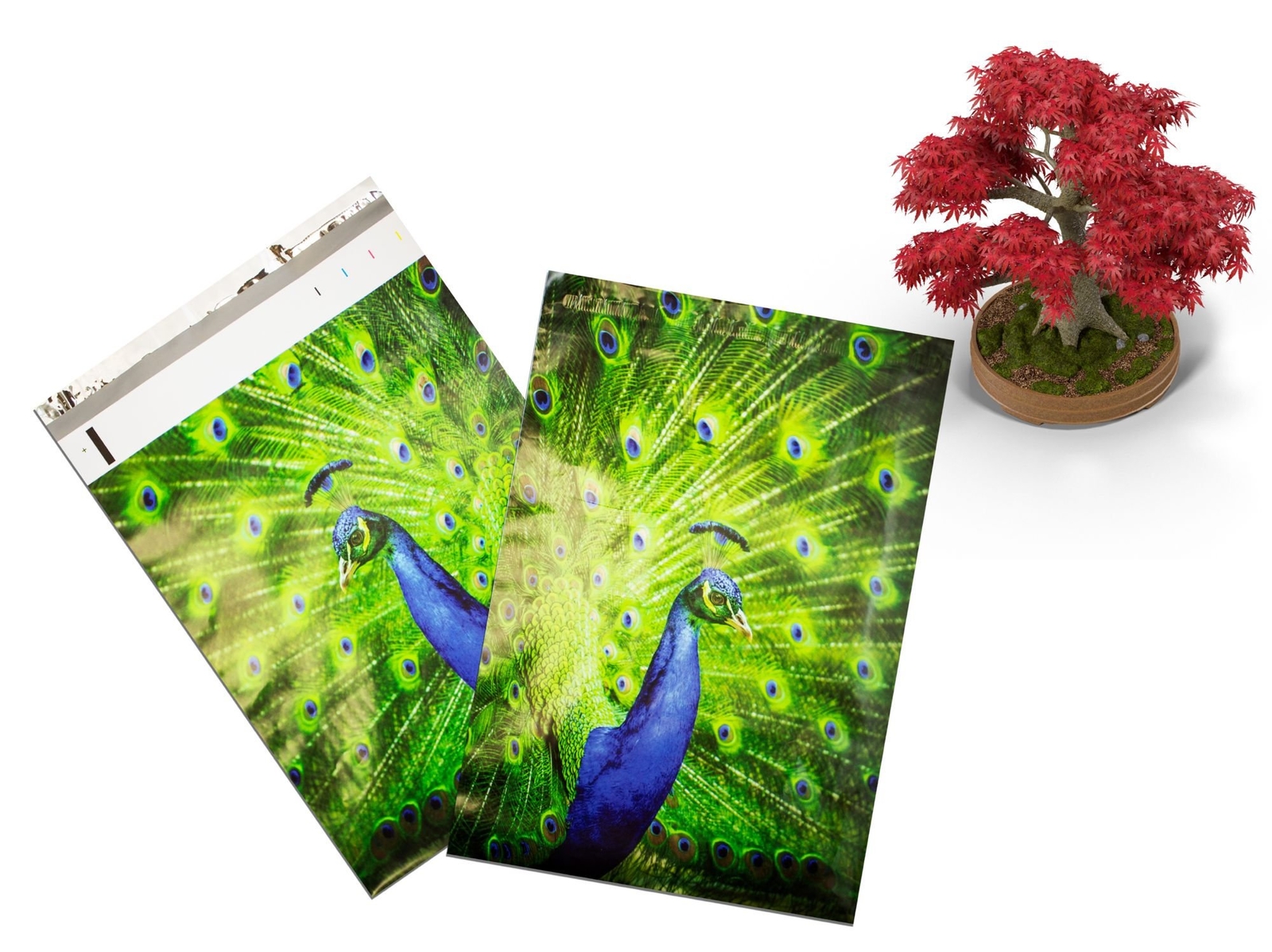 10×13″ Peacock and Parrots Combo Pack, Quality Bird Designer Mailer Shipping Bag