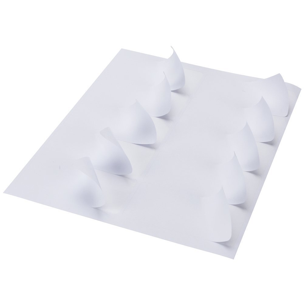 1000 Address Shipping Labels Laser Ink Jet 100 Sheets 2″x4″ 10-UP 10 Per Sheet