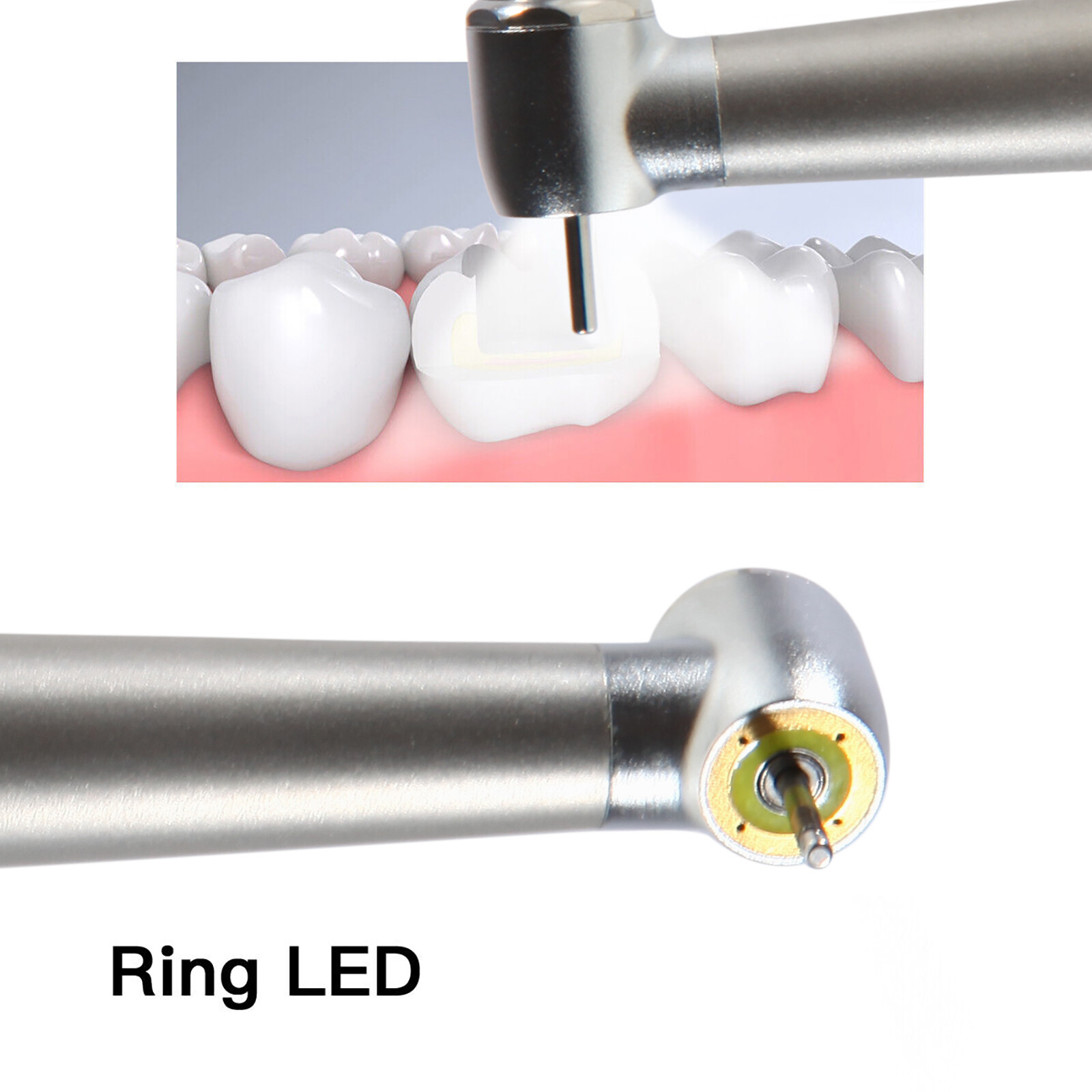 Dental Shadowless Ring LED High Speed Handpiece E-generator 4 Hole Midwest SA
