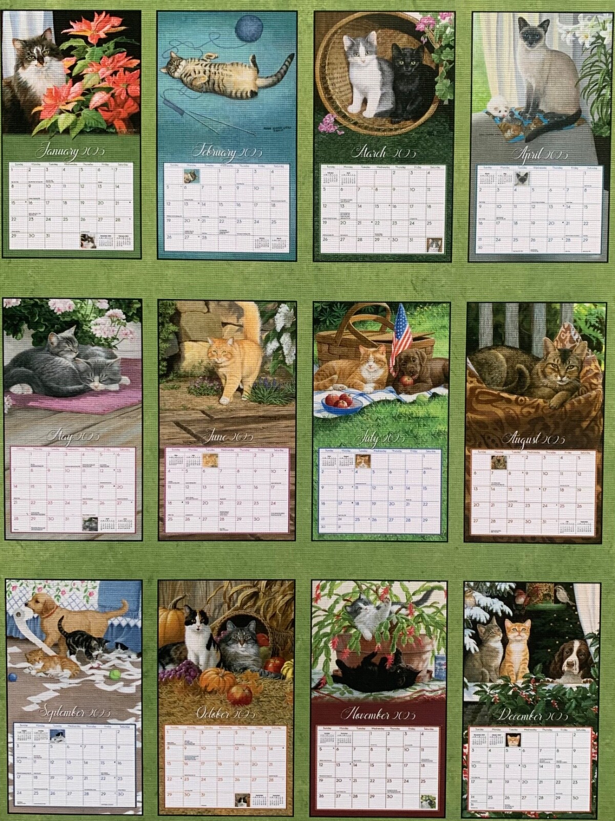 Love Of Cats 2023 Lang Wall Calendar