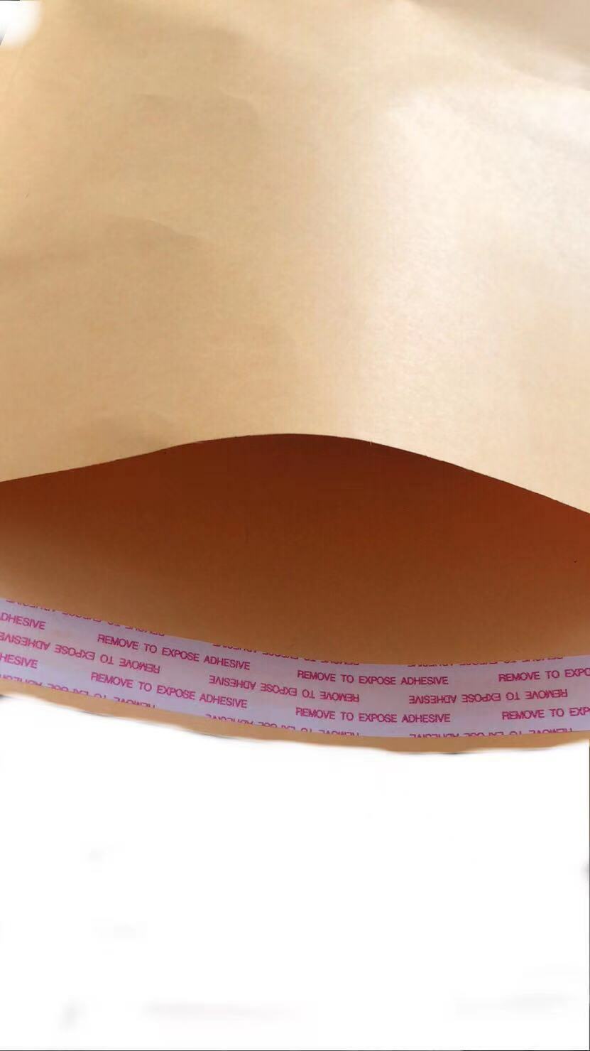 500-9×12 Brown Kraft Self Seal Catalog Envelopes with Peel Mailing 28lb