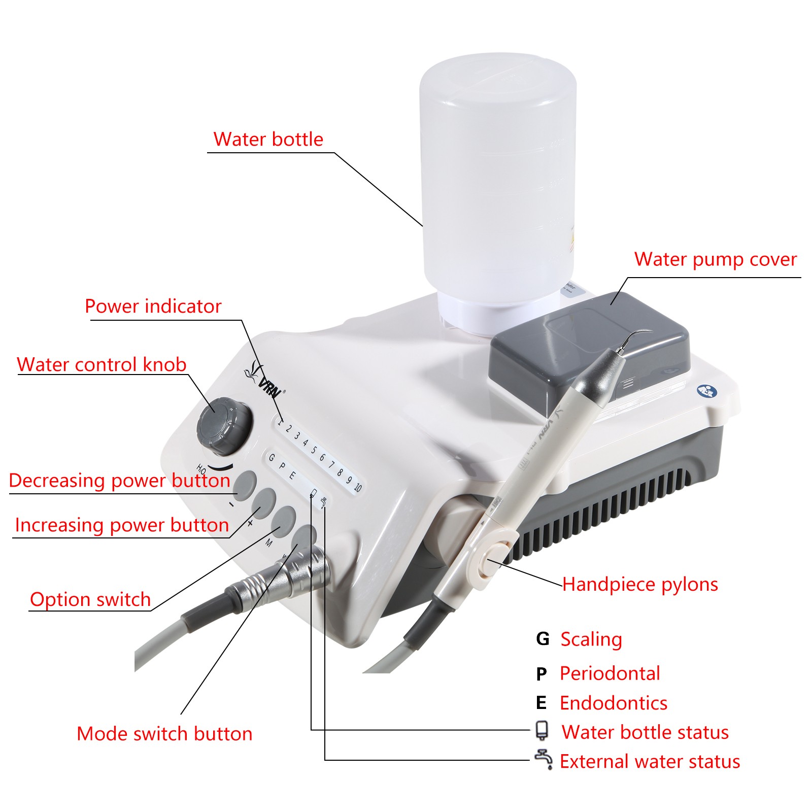 Dental Ultrasonic Scaler & LED Detachable Handpiece Auto Water Supply USA STOCK