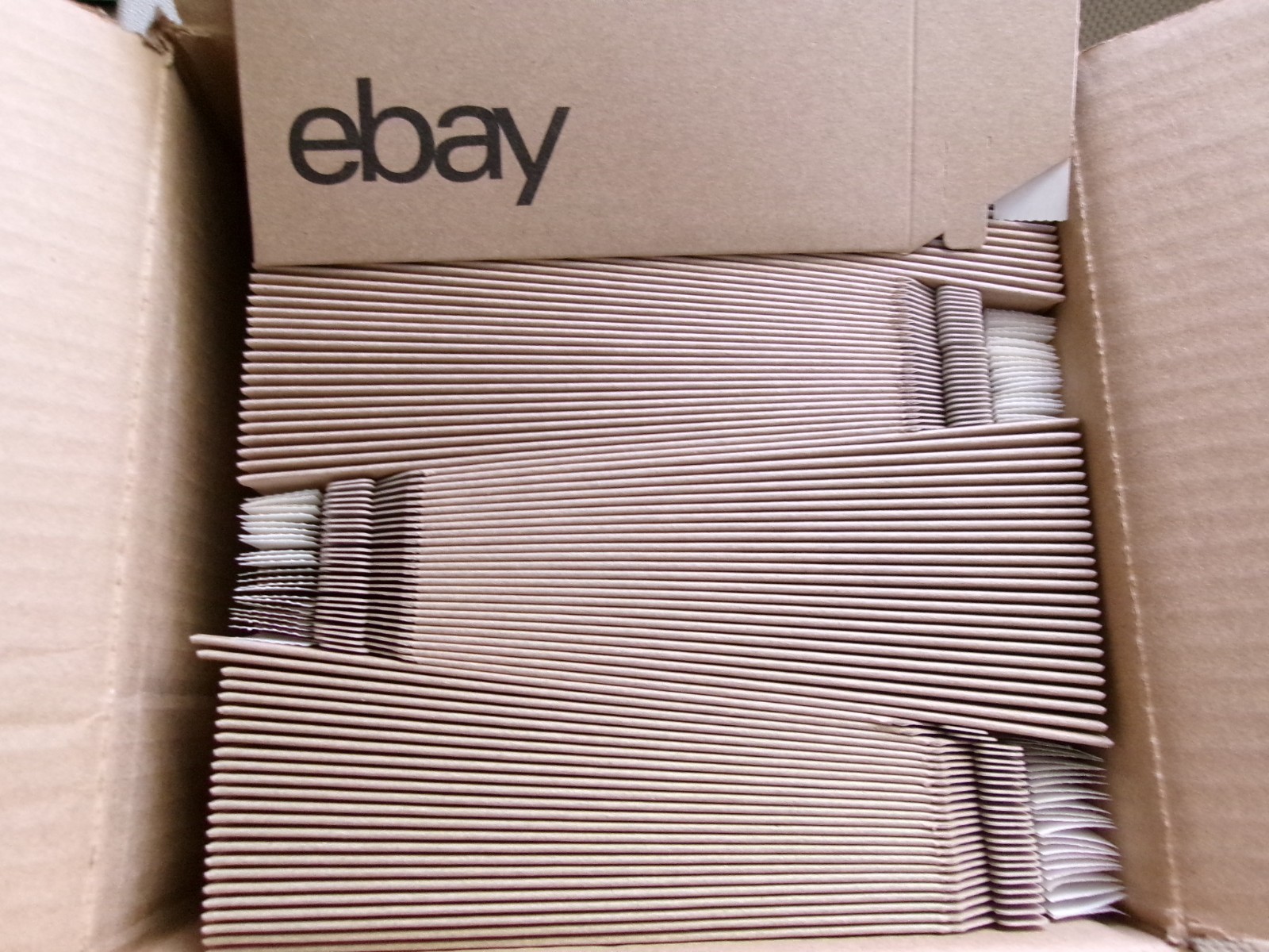 (100) 5 x 7 EBAY BRANDED PAPERBOARD MAILJACKET ENVELOPE