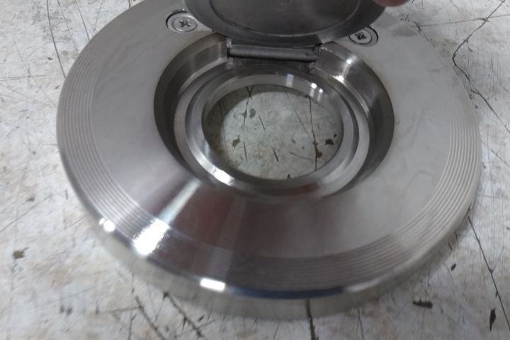 Champion 3SDS15-SSP-R 3 In Pipe Size Flange Connection Check Valve