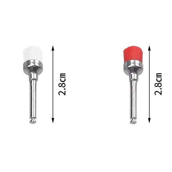 Dental Prophy Polishing Brush Nylon Latch Flat Prophylaxis Polisher Brushes