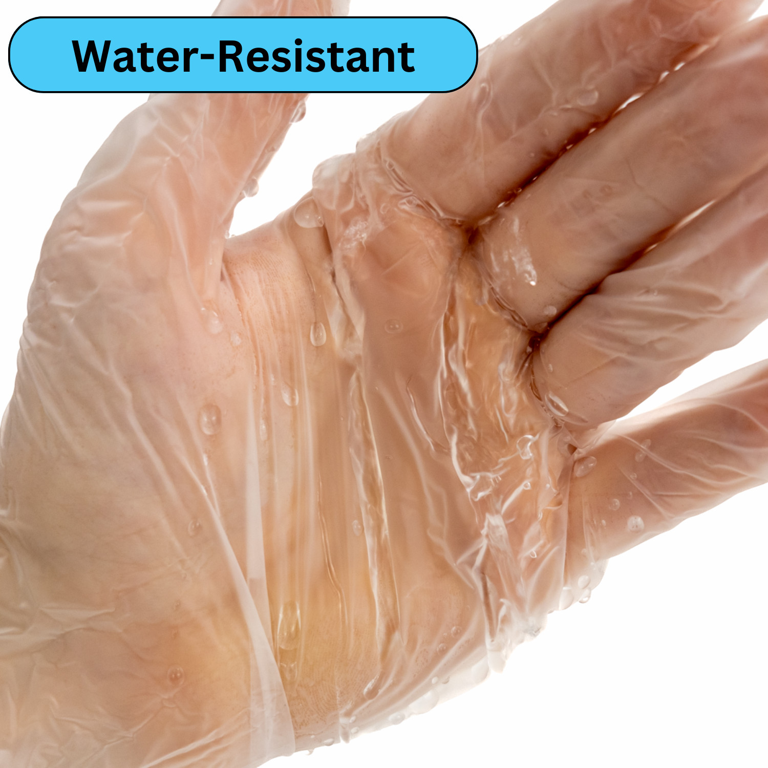 1000 Pieces Vinyl Gloves Powder Free Size: X-Large 5 Mil