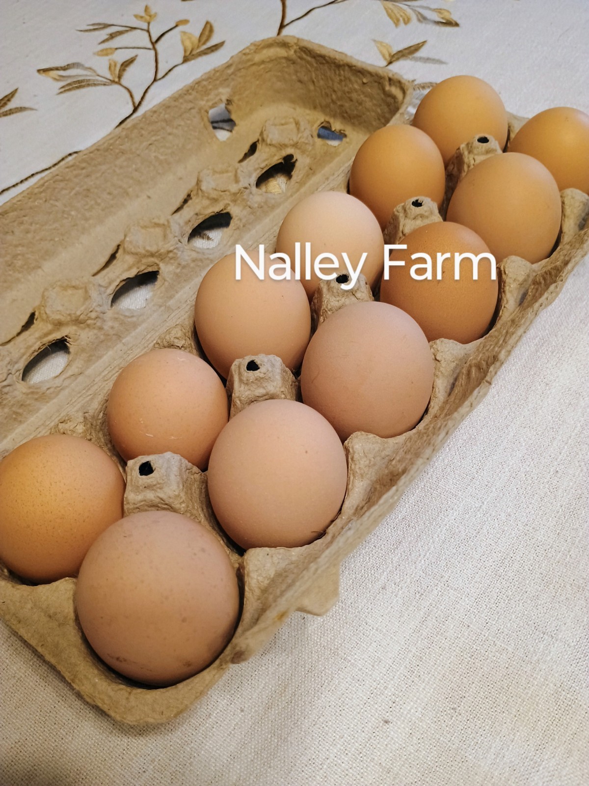 Silver Laced Wyandotte (6) ? fertilized hatching eggs.Please read description.