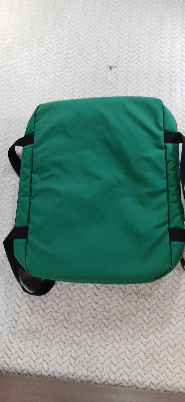 2 – Carry-Outs – How Food Gets Carried Away – Green Insulated Bags