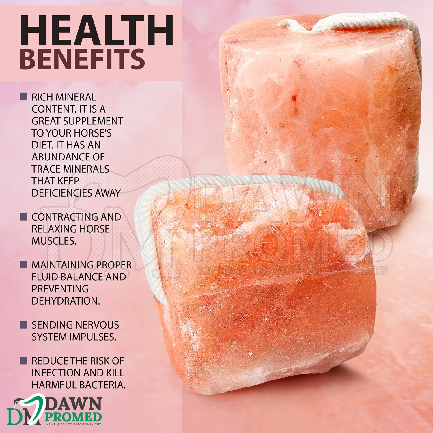 Himalayan Salt Lick Block for Animal Wellness 6.5-8 lbs. 100% Natural Pure Salt