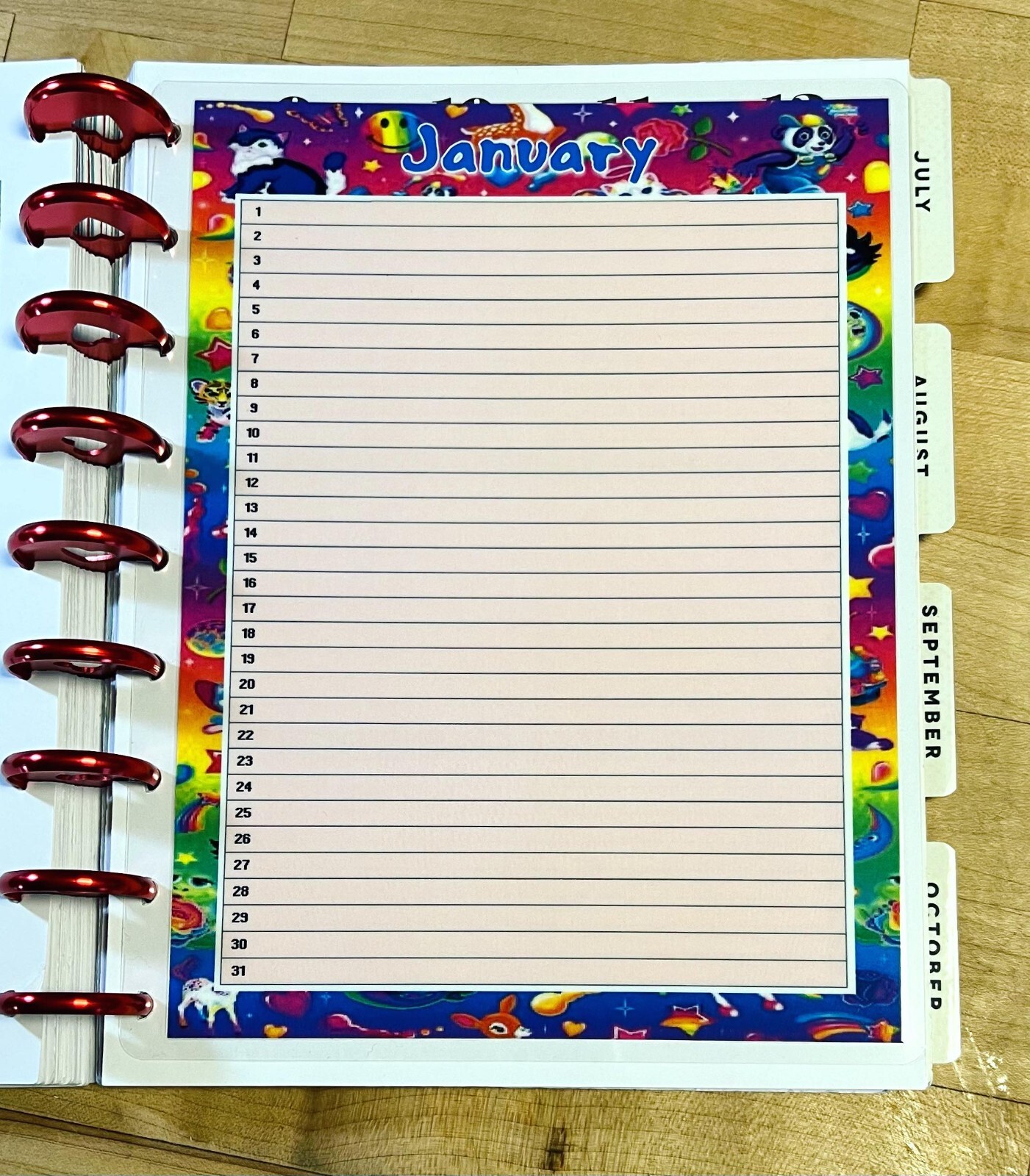 Set of 6 (Six) Month at a Glance Dashboard Inserts for use with Happy Planner-