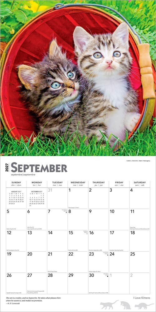 I Love Kittens | 2027 12×24″ (Hanging) Square Wall Calendar | Plastic-Free