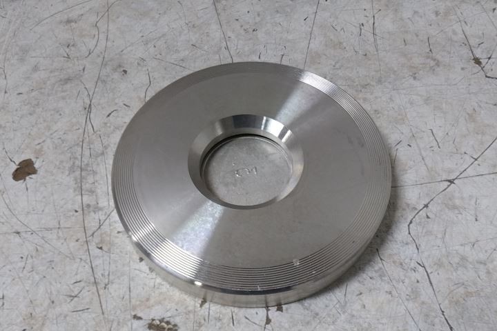 Champion 3SDS15-SSP-R 3 In Pipe Size Flange Connection Check Valve