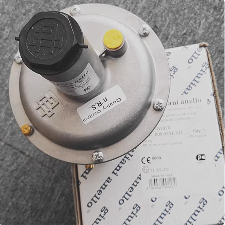 1PC NEW FIT FOR Giuliani anello FG1B20 DN20 gas pressure regulating valve
