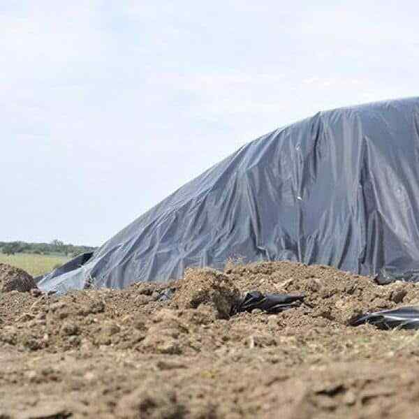 Plastic Sheeting Roll Tarp Cover Extra Heavy Duty Paint 6 mil 12′ x 100′ Black
