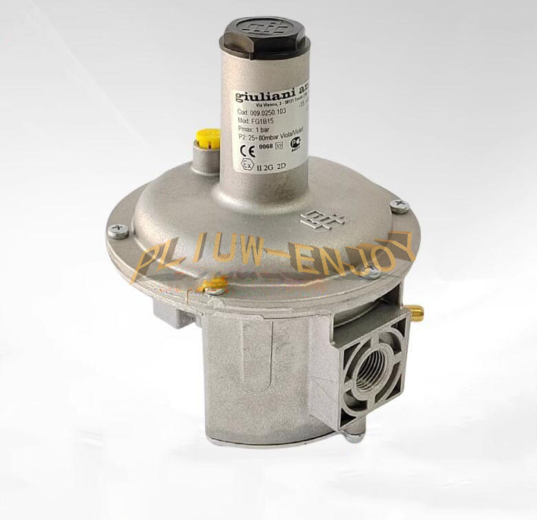 1PC New Giuliani Anello Pressure Regulating Valve FG1B15