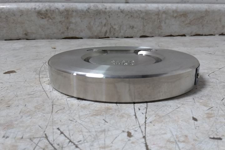 Champion 3SDS15-SSP-R 3 In Pipe Size Flange Connection Check Valve