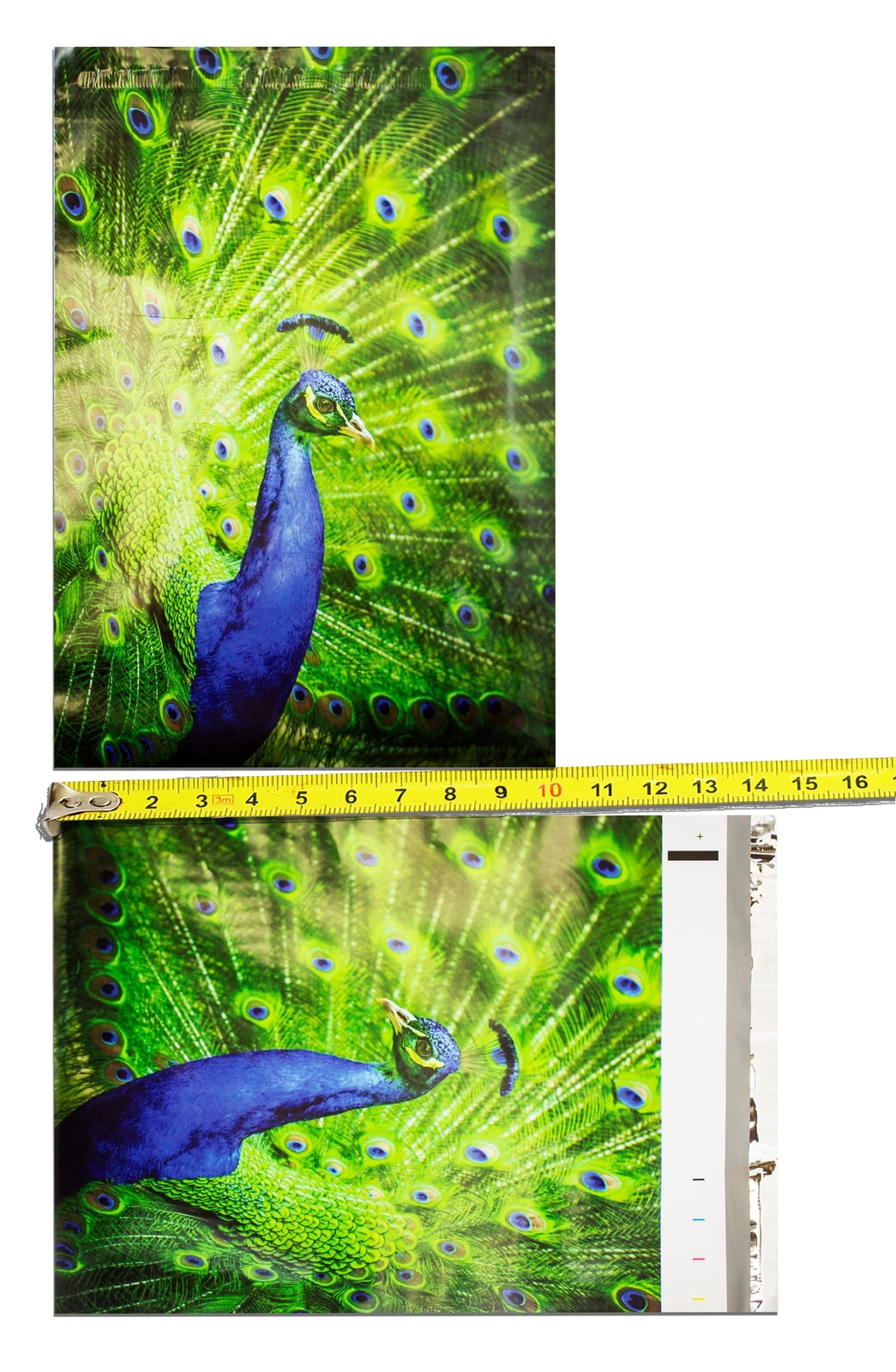 10×13″ Peacock and Parrots Combo Pack, Quality Bird Designer Mailer Shipping Bag