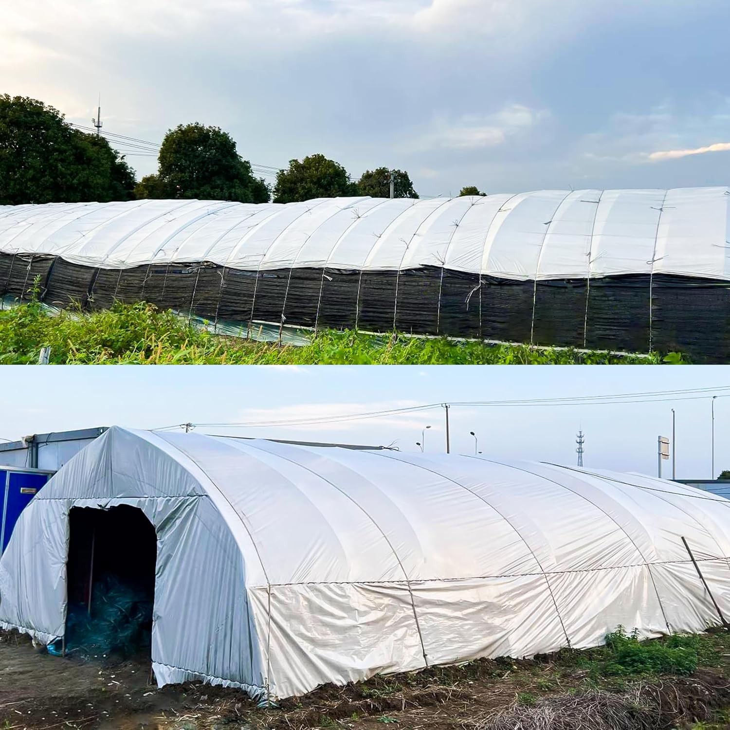 20X25FT White Greenhouse Plastic Film Clear Polyethylene Film 6 mil Anti-UV