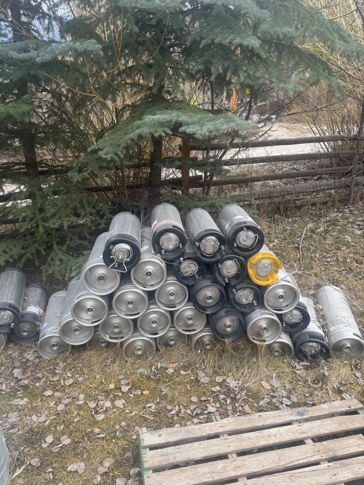 Lot of 23 – 1/6 BBL Kegs (Sixth Barrel) – Used, Fully Functional – Bulk Discount