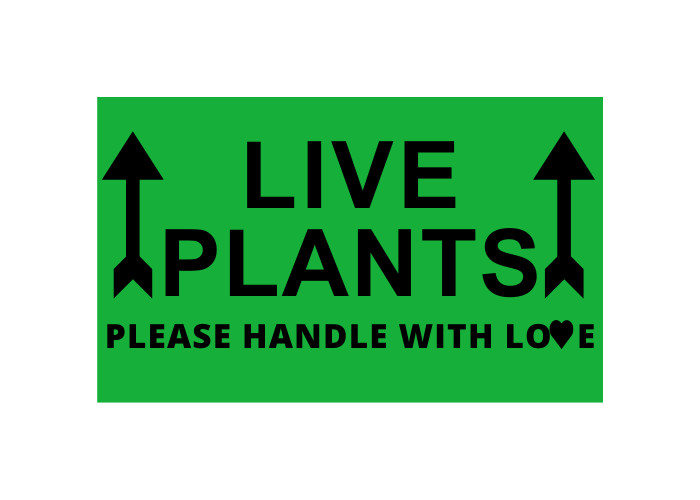 Plant Labels- 2×4 Live Plants (Arrow up) 500 labels per roll, 1-12 Rolls