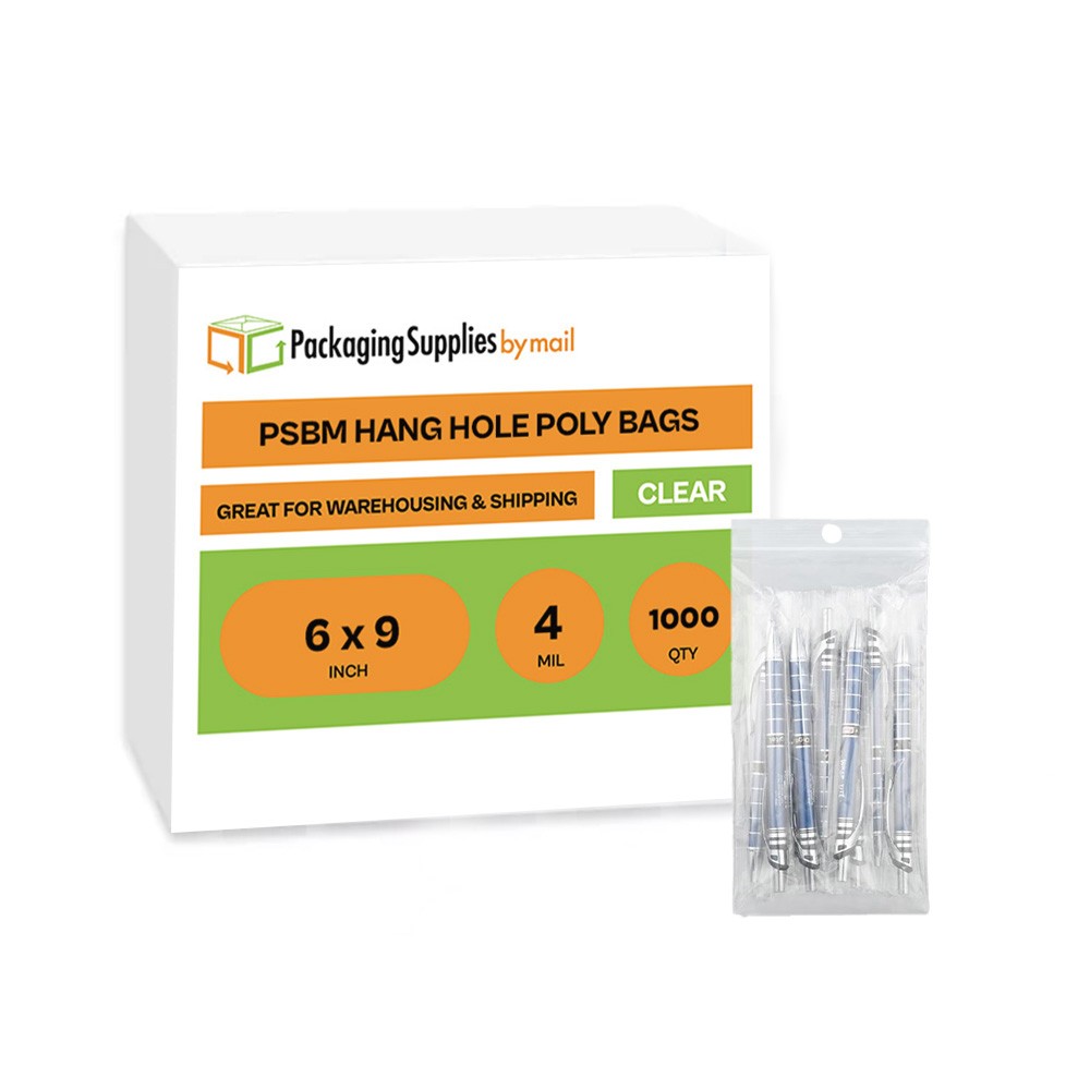 1000 Pcs 6″ x 9″ 4 Mil Mini Zipper Plastic Reclosable Bags with Hang Hole