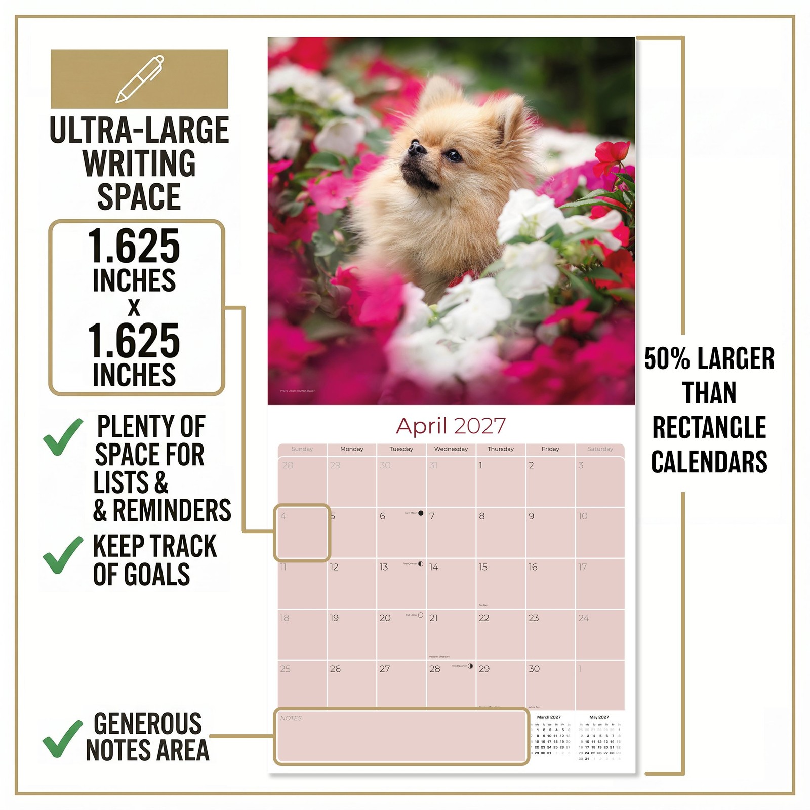 Pomeranian Dog Breed Calendar 2025 FULL SIZE 12×24 Made in USA