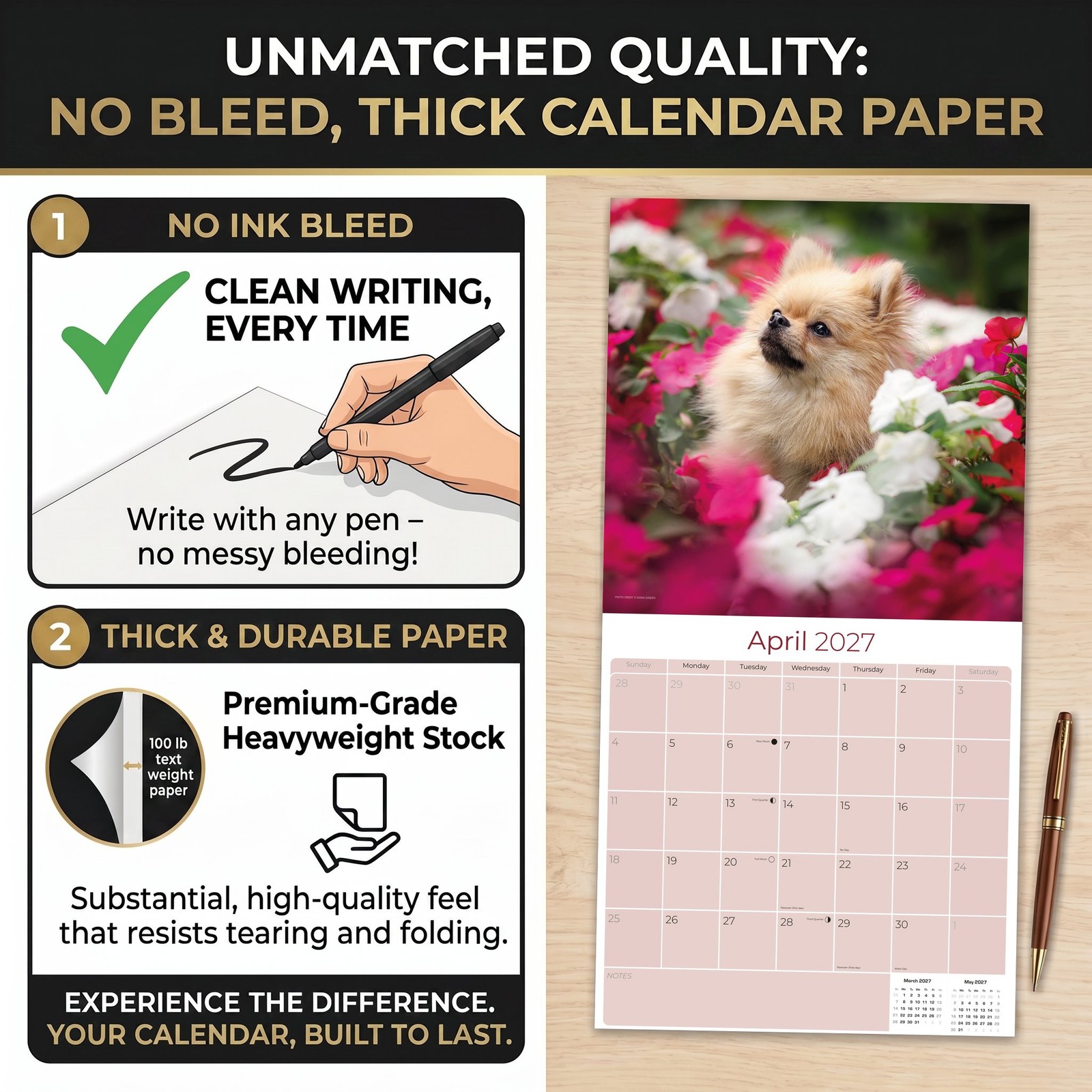Pomeranian Dog Breed Calendar 2025 FULL SIZE 12×24 Made in USA