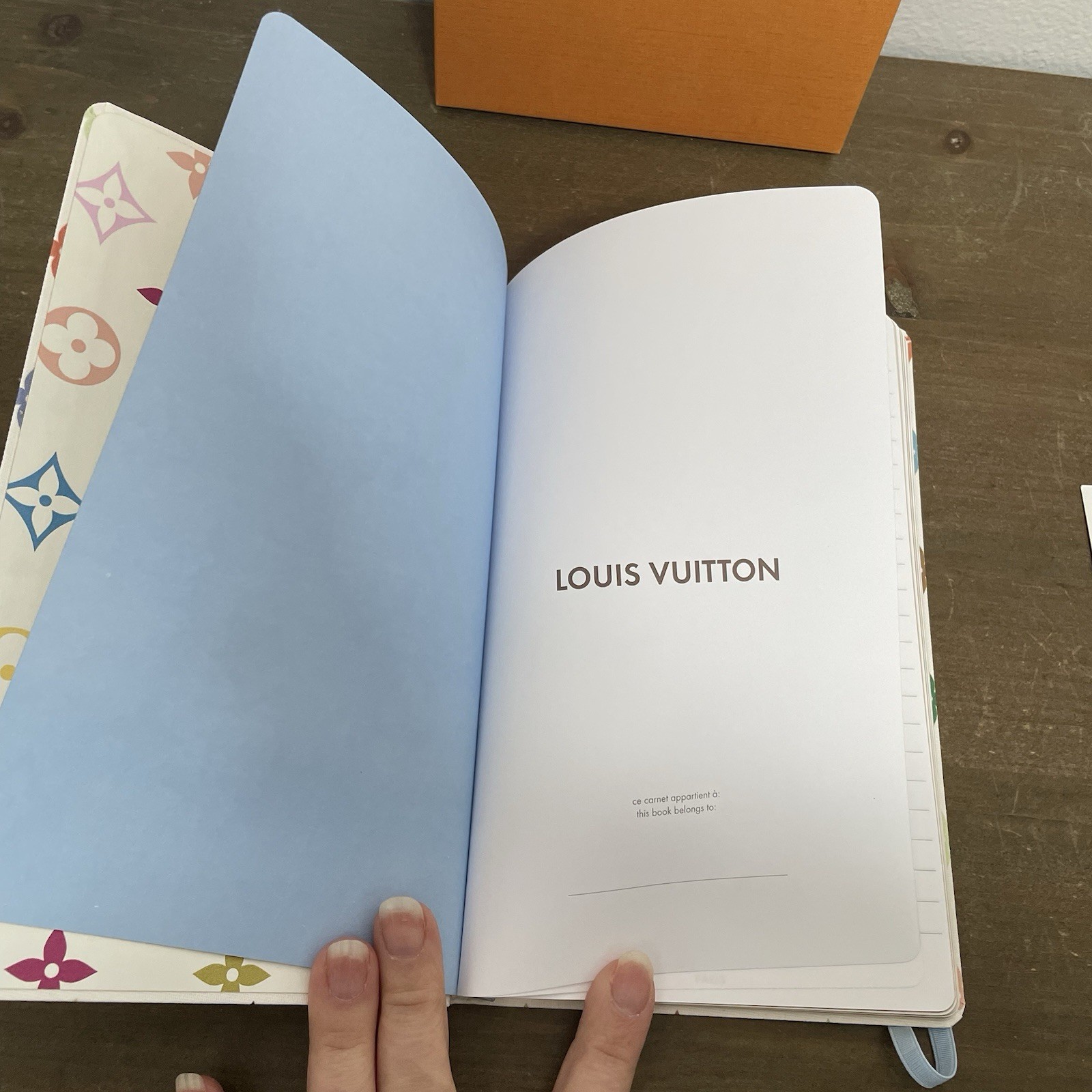 LV X TM Multicolor White Jane Notebook