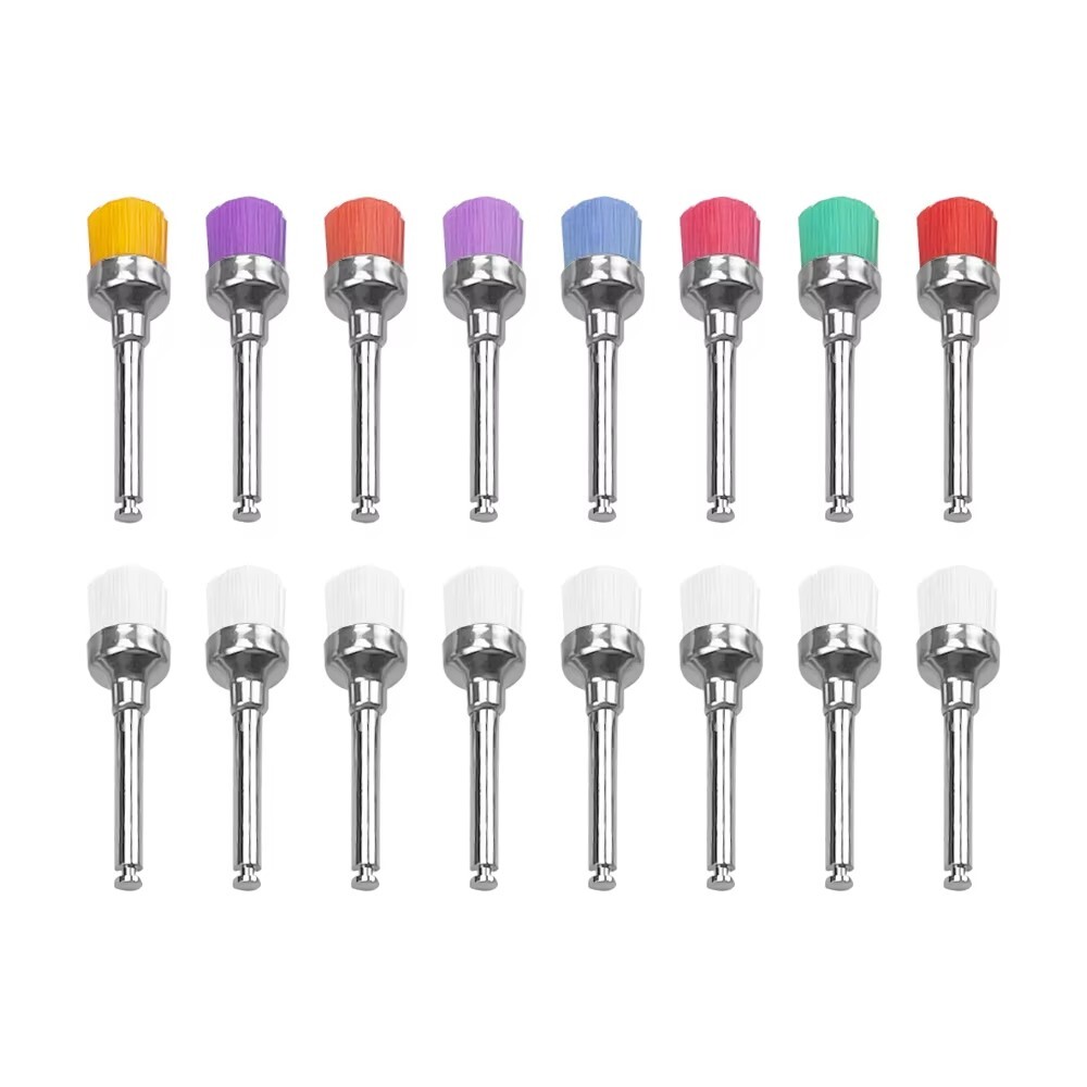 Dental Prophy Polishing Brush Nylon Latch Flat Prophylaxis Polisher Brushes