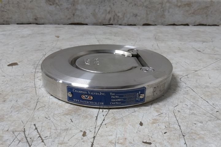 Champion 3SDS15-SSP-R 3 In Pipe Size Flange Connection Check Valve