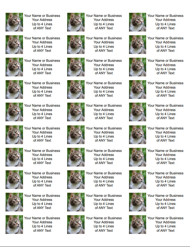 60 Personalized Address Labels with Your Pet Photo Custom Stickers Tag Free Ship