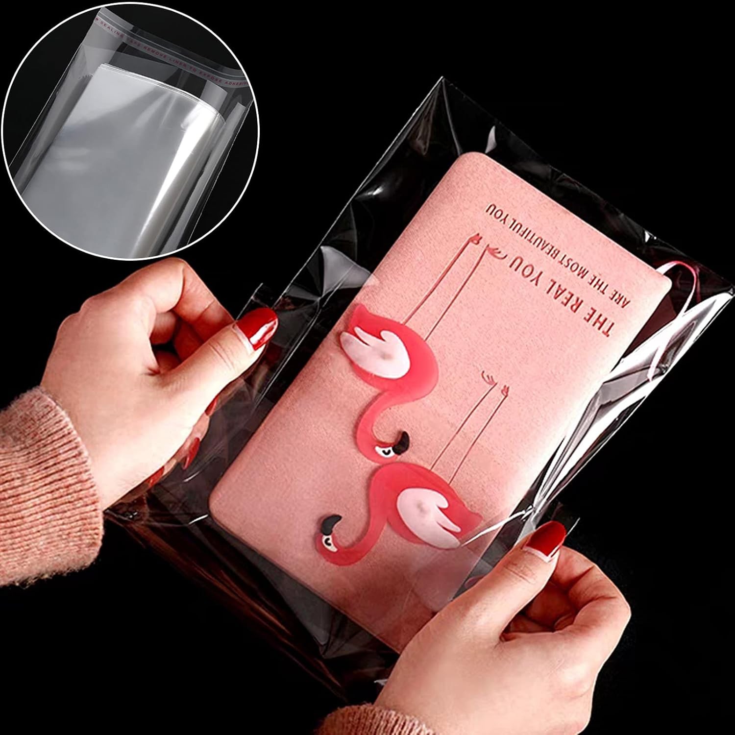 400Pcs Clear Plastic Self Sealing Bags with Hang Hole Resealable Large,