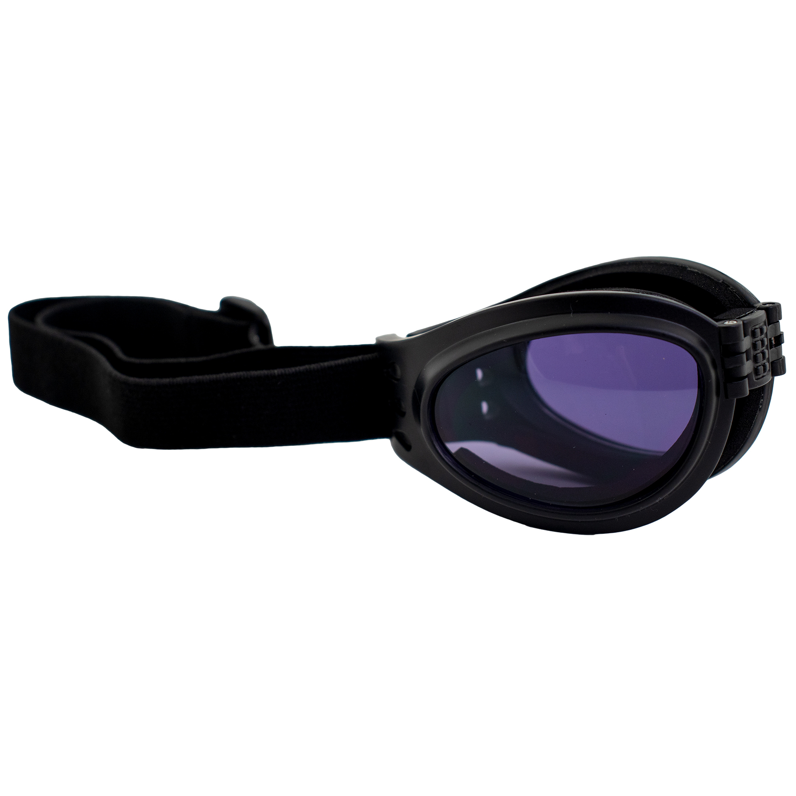Birdz Eyewear Parrot Padded Motorcycle Goggles Black Frame + Purple Lens