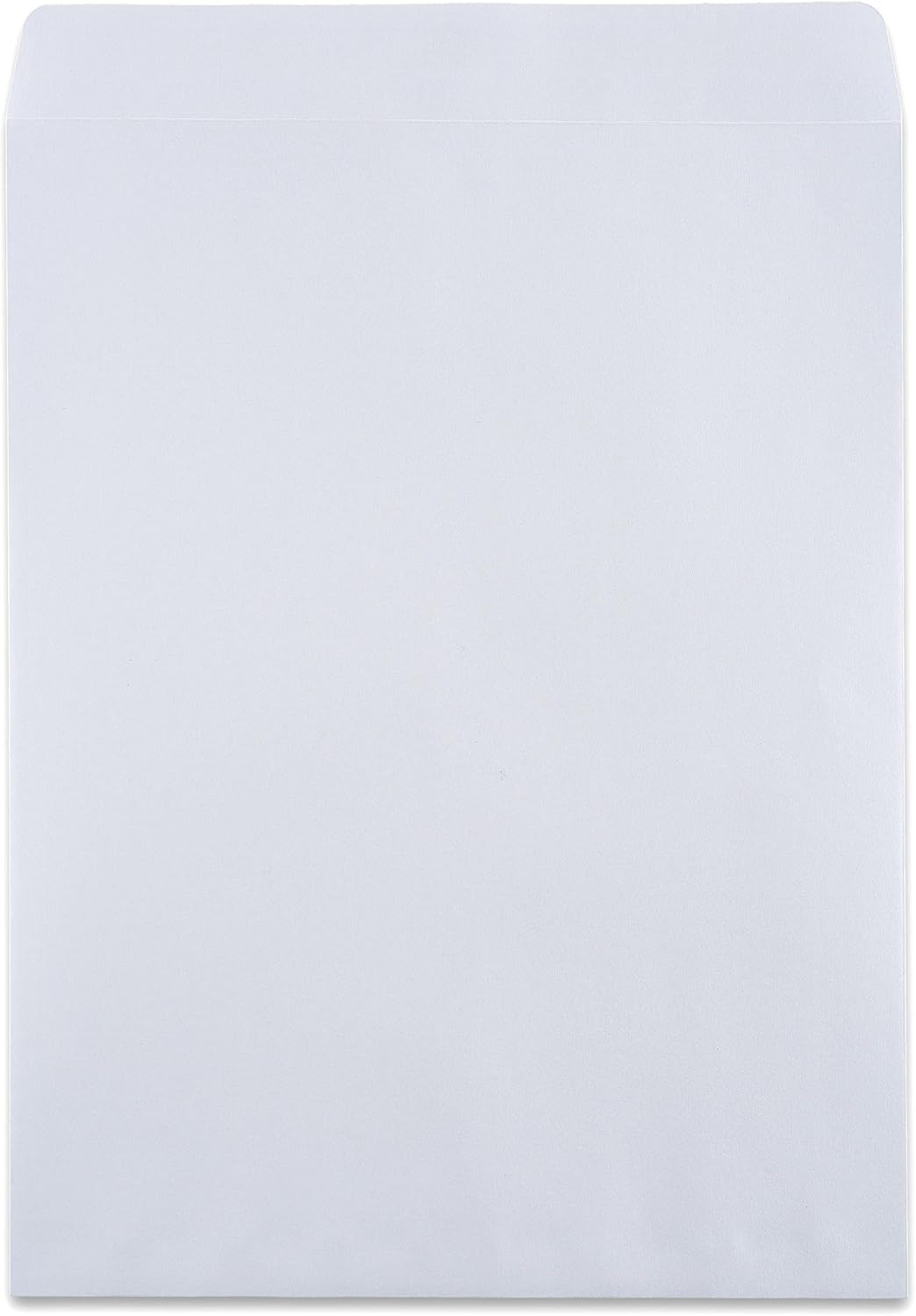 Ultra Strong 9×12 Catalog Envelopes – Security Tint, 100ct