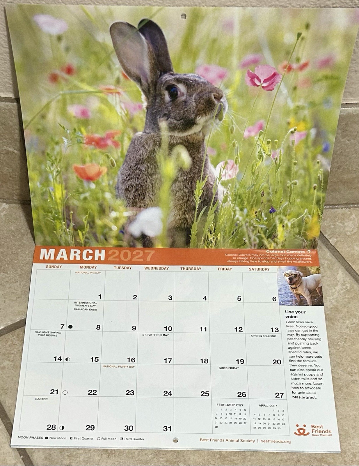 2027 Best Friends ‘Save Them All’ Wall Calendar ~ 10 7/8 x 8.5 ~New
