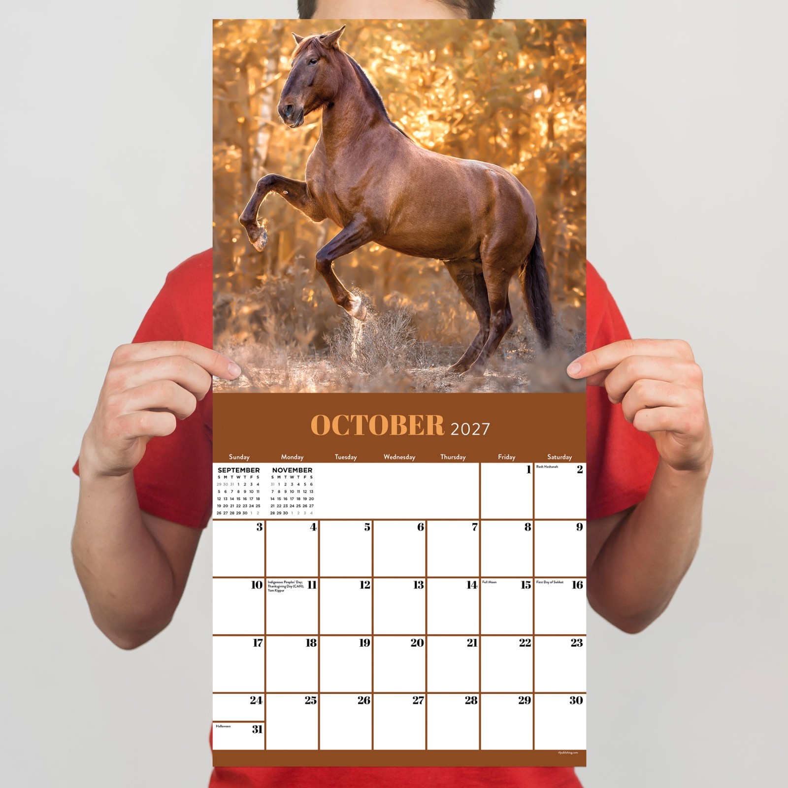 2027 Horses Wall Calendar
