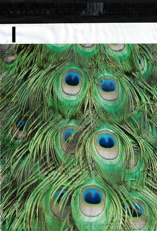 200 10×13 Peacock Feathers Designer Poly Mailers Envelopes Boutique Custom Bags