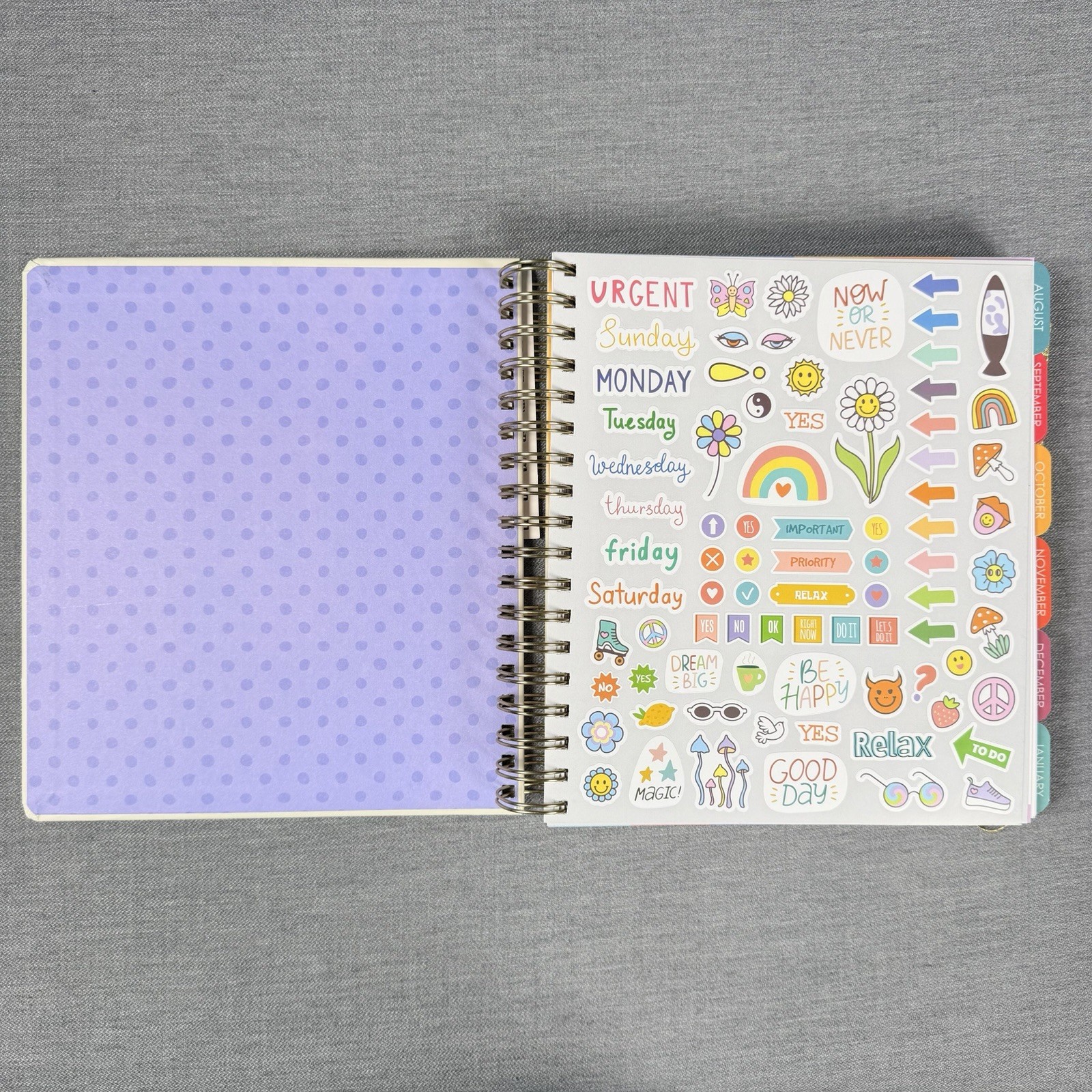 Creative Expert 17 Month Planner AUG 2026 – DEC 2027 Monthly/Weekly Planner
