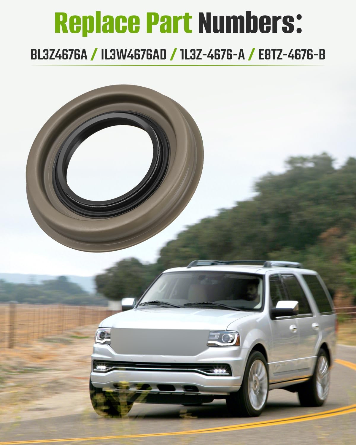 Rear Differential Pinion Seal BL3Z-4676-A for Ford F150