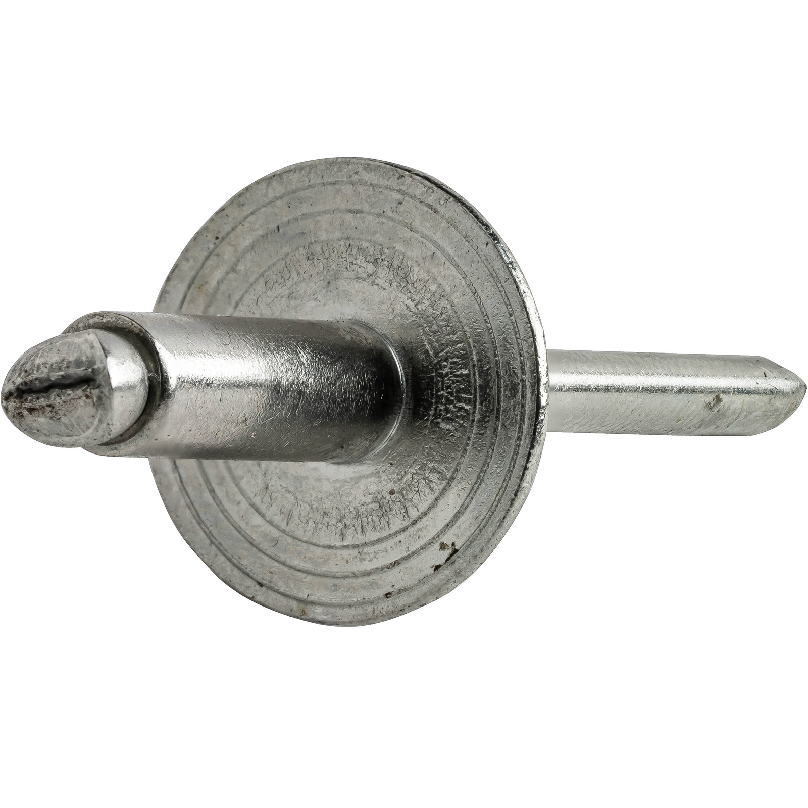Large Flange Stainless Steel Pop Rivets Dome Head Blind Every Size and Length