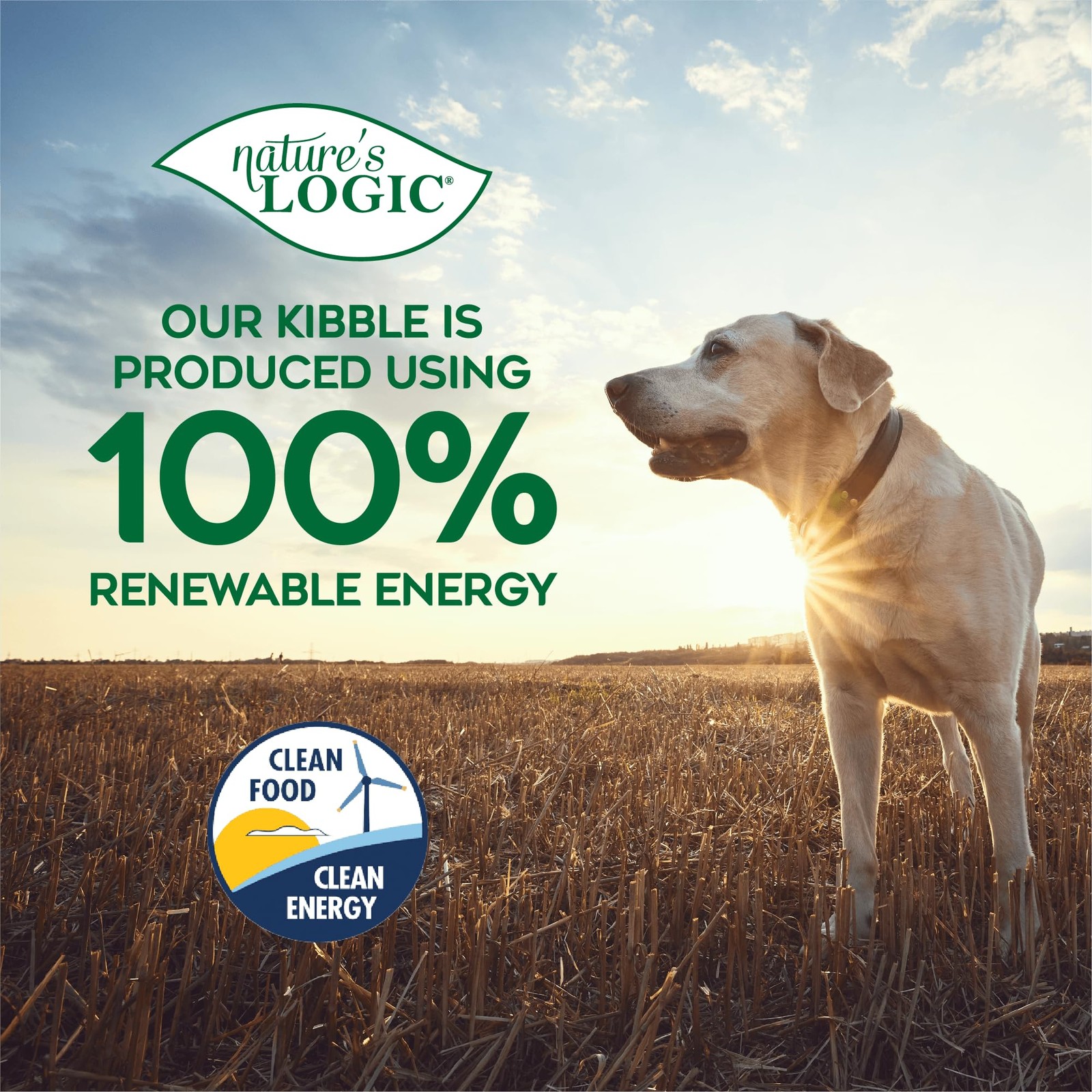 Nature’S Logic Natures Logic Pure Naturals 100 Natural Chicken Recipe