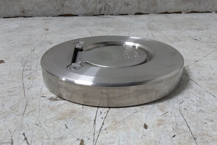 Champion 3SDS15-SSP-R 3 In Pipe Size Flange Connection Check Valve